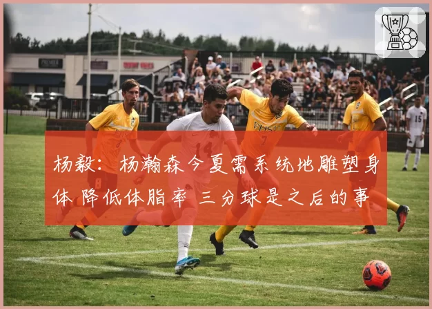 杨毅：杨瀚森今夏需系统地雕塑身体 降低体脂率 三分球是之后的事